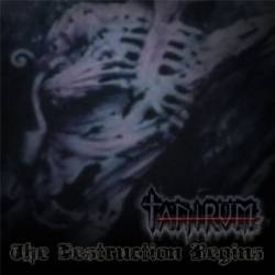 Tantrum (SLK) : The Destruction Begins
